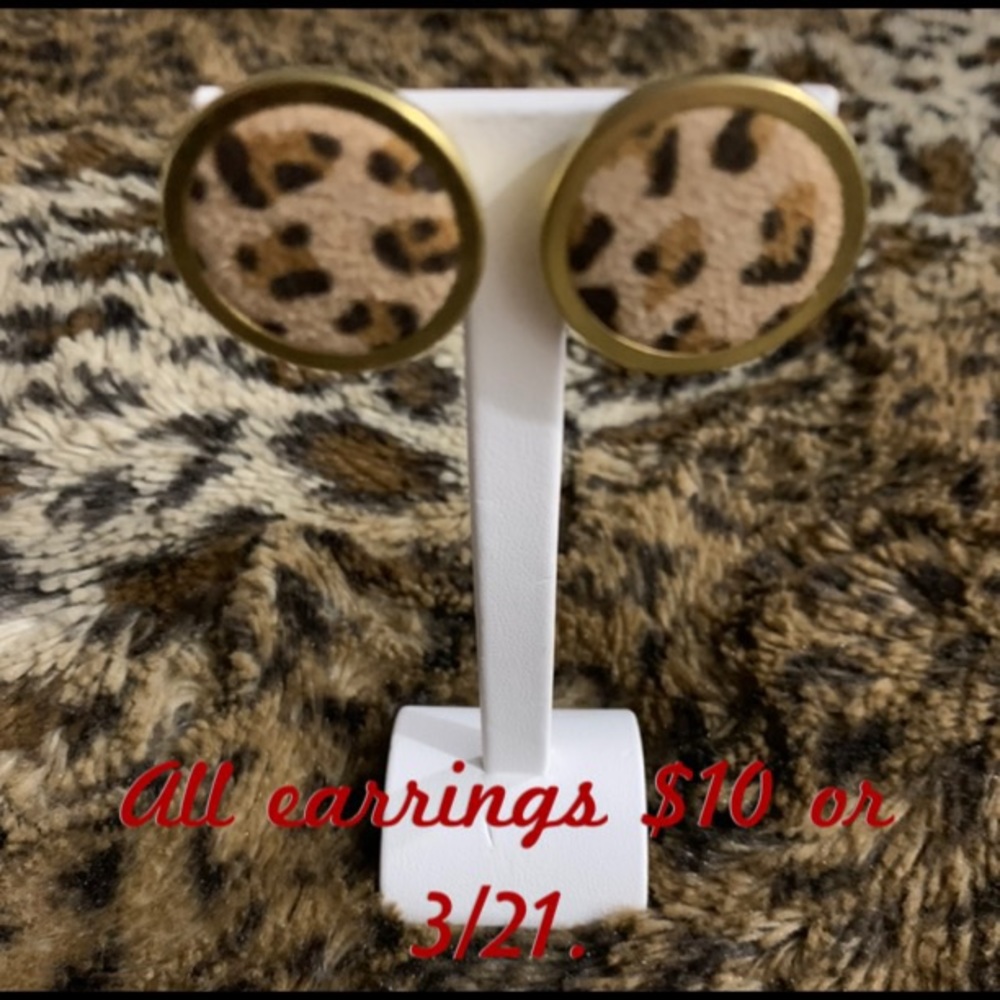 Leopard Fashion Earrings